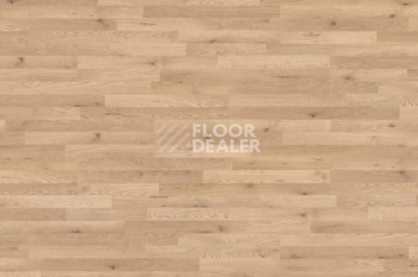 Ламинат Haro Tritty 90 ДУБ ВЫСОКОГОРНЫЙ 538855 фото 1 | FLOORDEALER